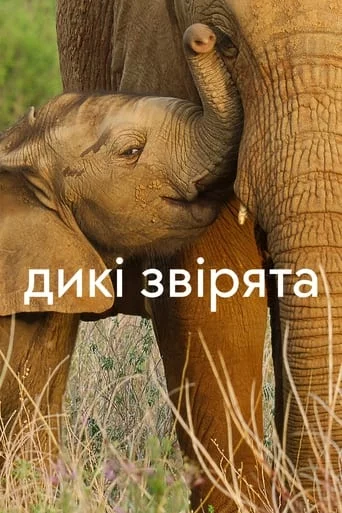 Дикі звірята онлайн
