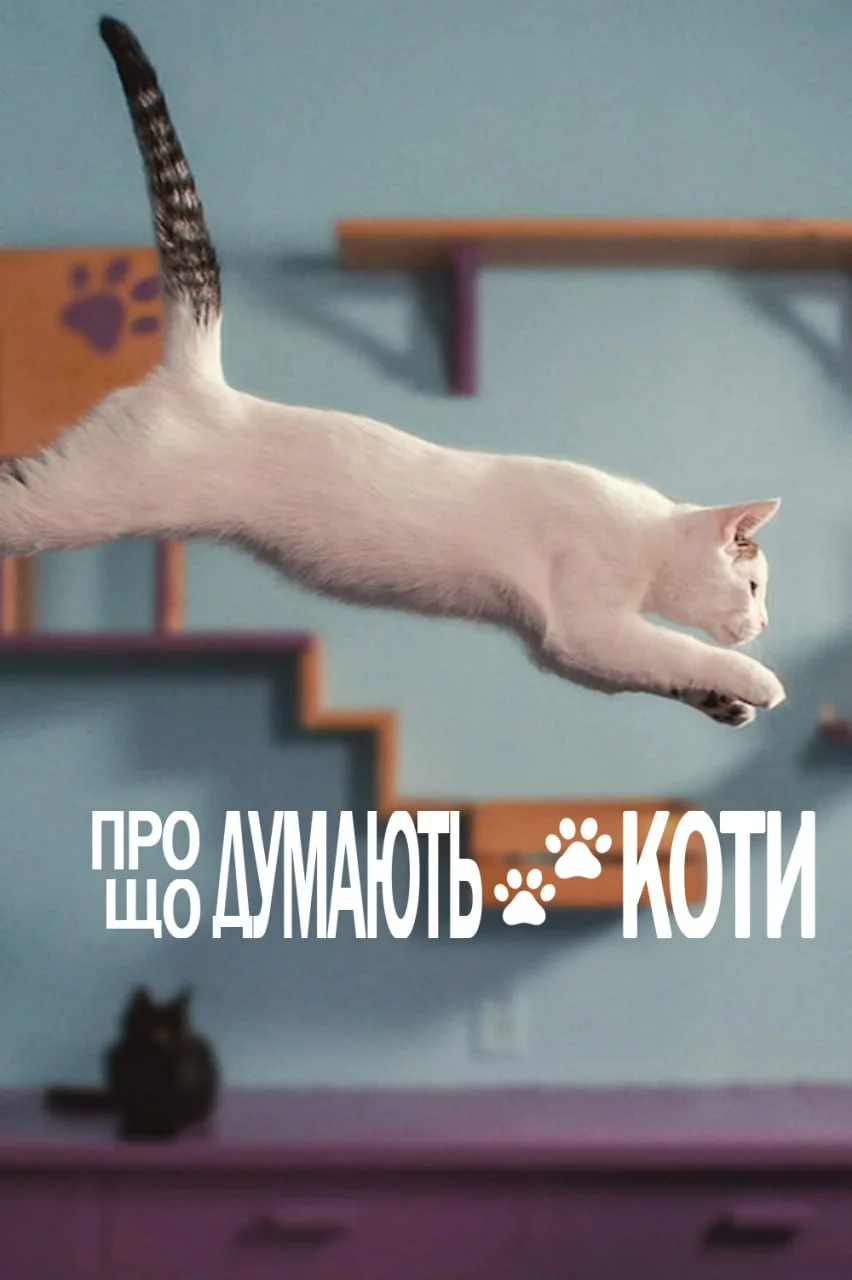 Про що думають коти онлайн