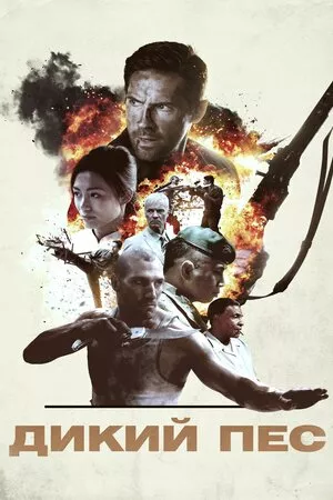 Дикий пес онлайн