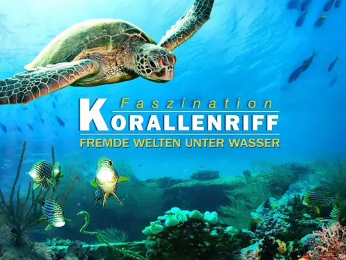 Кораловий риф: дивовижні підводні світи онлайн