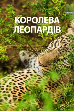 Королева леопардів онлайн