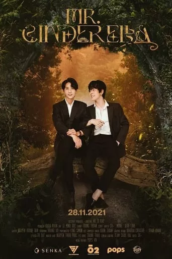 Містер Попелюшка онлайн