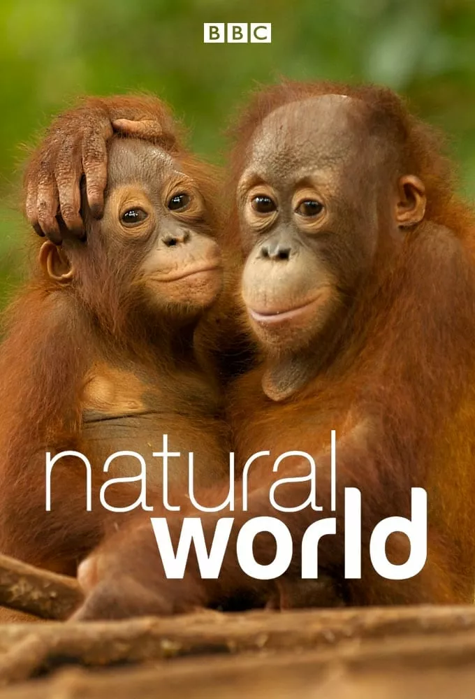 Світ природи онлайн