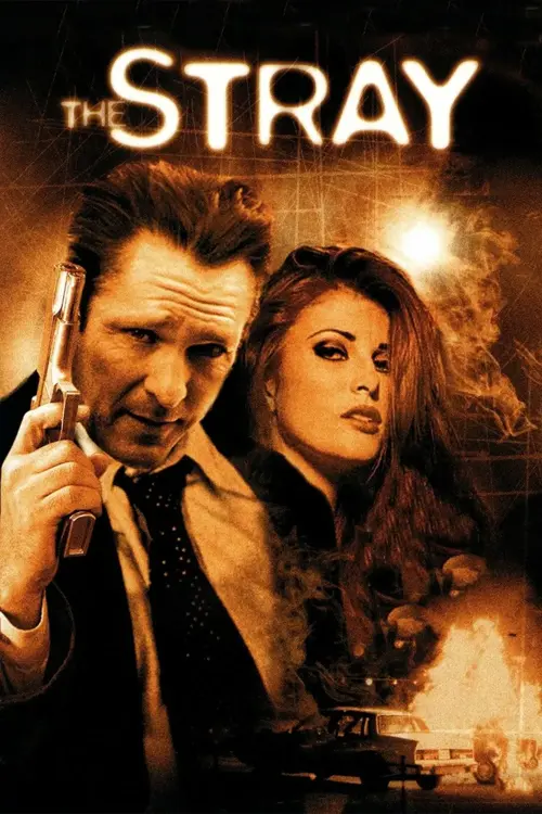 Бродяга онлайн