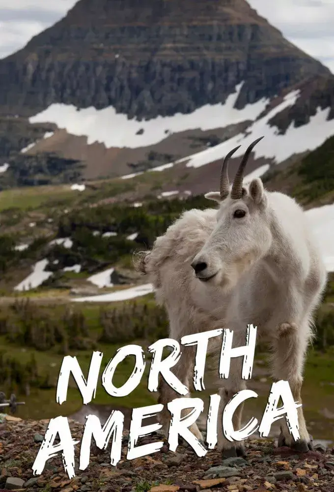 Дика Північна Америка онлайн