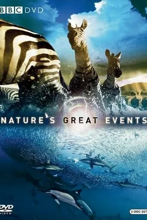 Дива природи / Бі-Бі-Сі Найвеличніші події живої природи онлайн