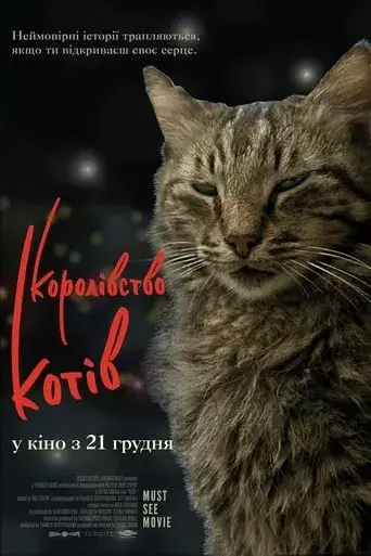 Королівство котів онлайн