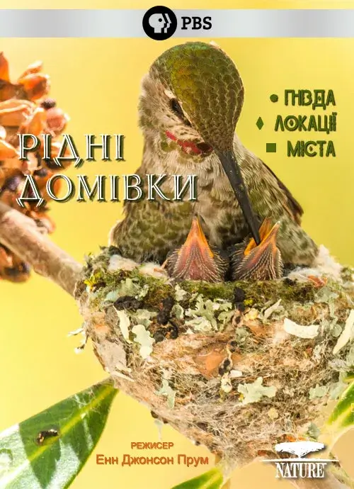 Рідні домівки онлайн