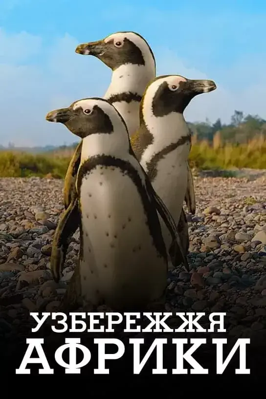 Узбережжя Африки онлайн