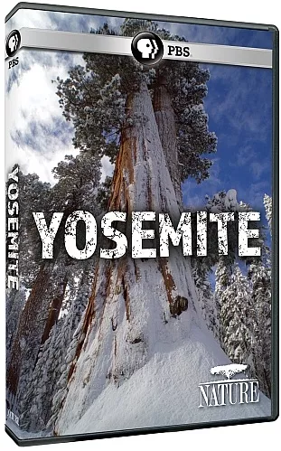 Йосеміті онлайн